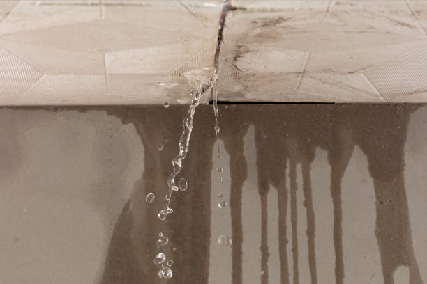 Professional Structural Drying technician working in Lorado, WV